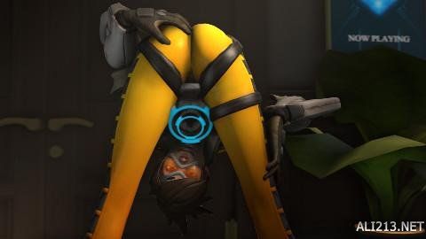 有冠军背景 有冠军背景