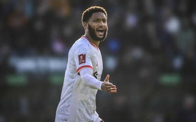 养年轻球员 养年轻球员